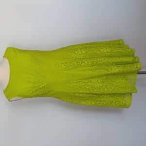 Sandra Darren Lime Fit and Flare dress Midi length